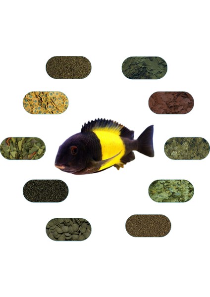 Tropheus Sp. Ikola Özel Balık Yem Paketi (6 Çeşit) 100 gr/Ad