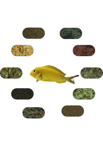 Tropheus Kriza Gold Özel Yem Paketi (6 Çeşit) 100 gr/Ad