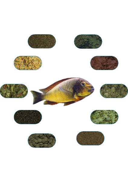 Tropheus Ilangi Yellow Özel Balık Yem Paketi (6 Çeşit) 100 gr/Ad