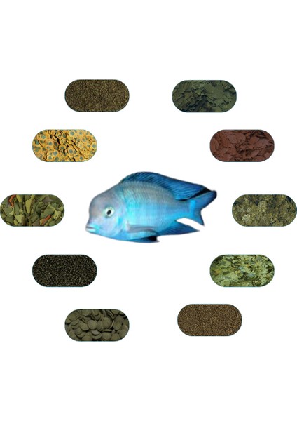 Yunus Ciklet Özel Balık Yem Paketi (6 Çeşit) 50 gr/Ad