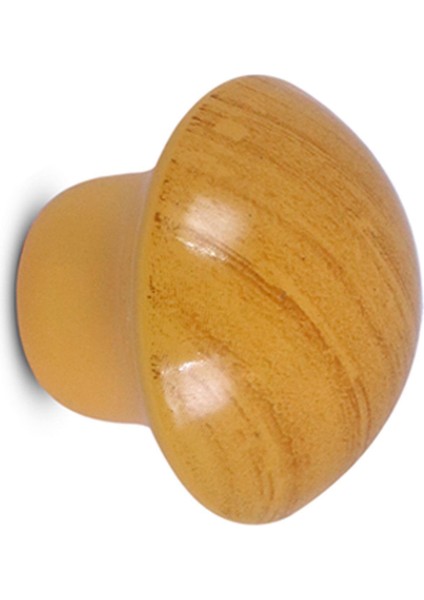 Mantar Düğme Kulp Çekmece Dolap Kapak Kulpu A. Kayın (10 Adet) fırsatları