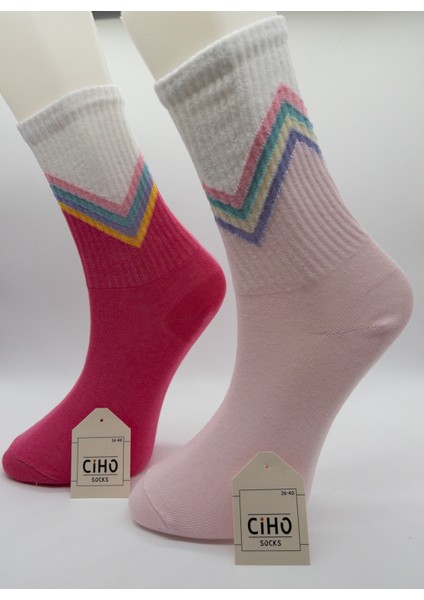 Ciho Socks Cihosocks V Desen 6 Çift Pamuklu Kadın Soket Çorap