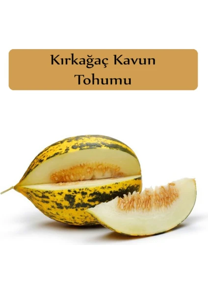 Çermik Fidancılık Kırkağaç Kavun Tohumu 10 gr