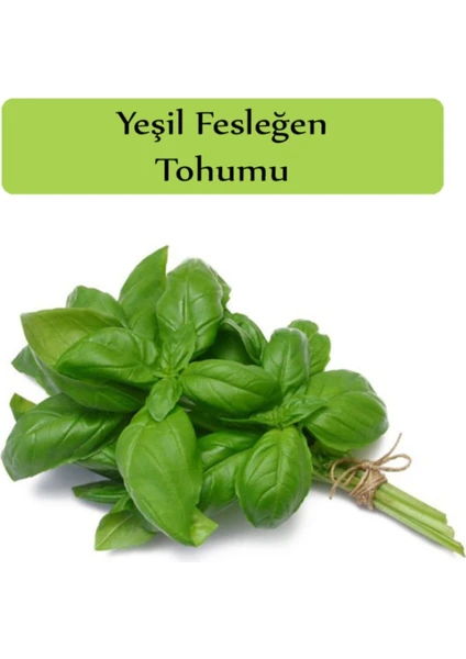 Çermik Fidancılık Yeşil Reyhan ( Fesleğen ) Tohumu 10 gr