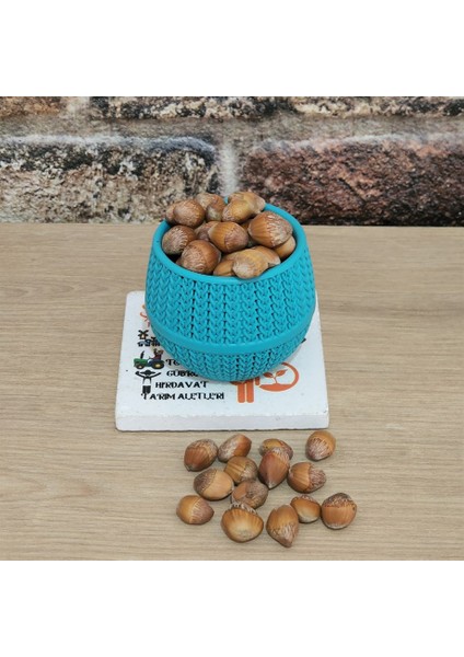 Corylus Colurna Bolu Fındığı Tohumu 1 kg fiyatları