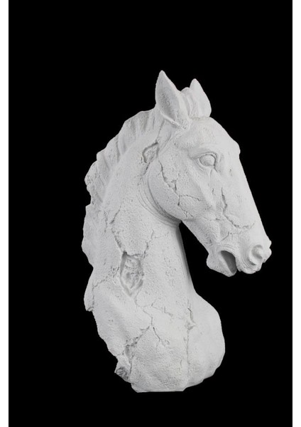 Polyester Dokulu At Büst 38X16CM HYK628