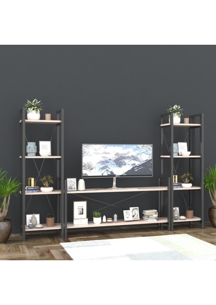 Dekormila Metal Tv Ünitesi 2 Kitaplıklı Cordoba