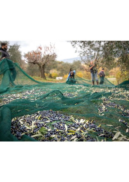 Sera Trend 6x2 Metre Zeytin Sergisi Zeytin Toplama Filesi Fındık Fıstık Örtüsü %75 Gölgelik Dut Meyve Sergisi Taban Örtüsü