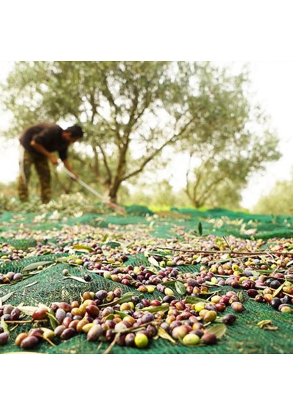 Sera Trend 5x6 Metre Zeytin Sergisi Zeytin Toplama Filesi Fındık Fıstık Örtüsü %75 Gölgelik Dut Meyve Sergisi Taban Örtüsü