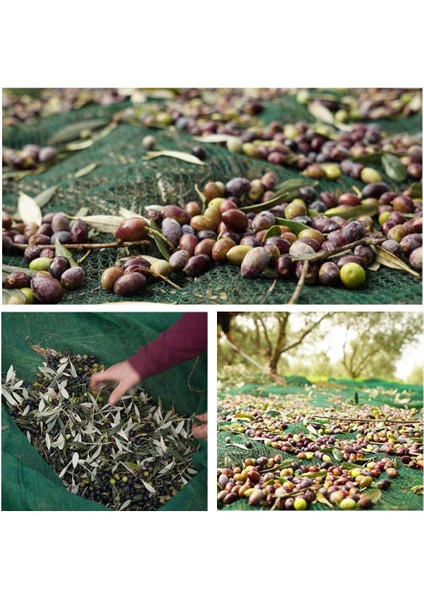 3x6 Metre Zeytin Sergisi Zeytin Toplama Filesi Fındık Fıstık Örtüsü %75 Gölgelik Dut Meyve Sergisi Taban Örtüsü