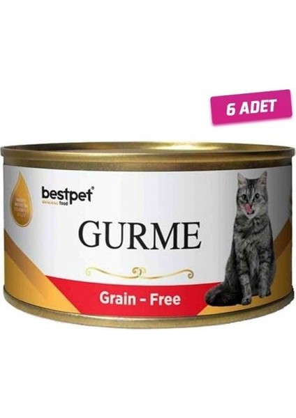 Gurme Jöleli Biftekli Yetişkin Kedi Konservesi 100 gr