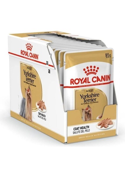 Yorkshire Terrier Yetişkin Köpek Pouch 85 gr x 12 Adet