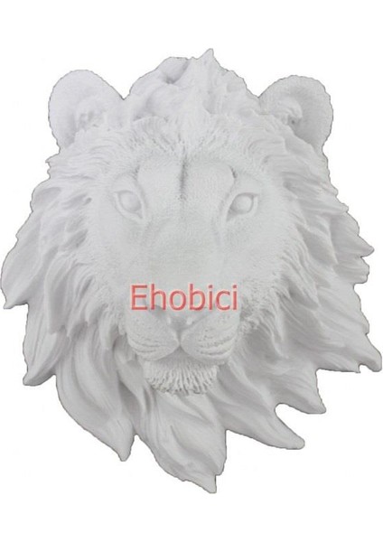 Polyester D67 (22X20) - Aslan Kafasi D67