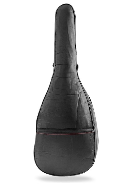 Sünger Gitar Kılıfı