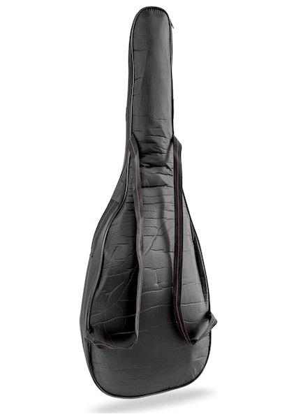 Sünger Gitar Kılıfı