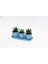 Trio Mavi Adler Sukulent Seti - 3 Çeşit Haworthia 3
