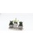 Trio Helen Gri Sukulent Seti - Haworthia Limifolia, Echeveria 2