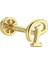 Altın Piercing -P- Harf 14 Ayar Tragus 2