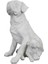 Polyester Tek Yavrulu Köpek 30X25CM HYK703 1