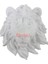 Polyester D67 (22X20) - Aslan Kafasi D67 1