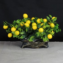 Moryconcept Limon Ağaç Yapay Taş Gold Gölgeli Saksı