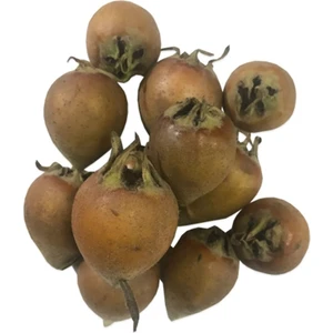 Sebze Meyve Dünyası Muşmula Döngel 1 kg