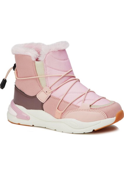 Pablo Filet Pylon Kar Bot