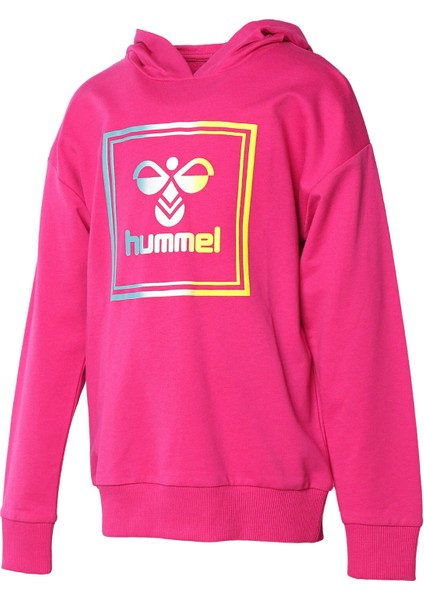 Hmlleıden Hoodıe Pembe Çocuk Sweatshirt 921085-2097
