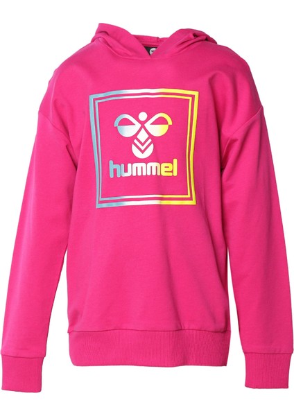 Hmlleıden Hoodıe Pembe Çocuk Sweatshirt 921085-2097 fiyatları