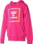 Hmlleıden Hoodıe Pembe Çocuk Sweatshirt 921085-2097 1