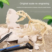 Qiruich Stegosaurus Dinozor Fosili Arkeolojik Kazı Oyuncak - Beyaz (Yurt Dışından)