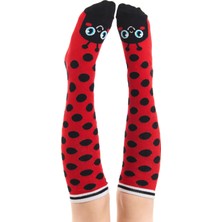 Denokids Uğurböceği Kız Çocuk Dizüstü Çorap