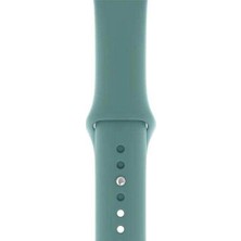  Apsuwa Apple Watch Nike+ 4 40MM Uyumlu Kordon Mat Jel Silikon Saat Kordonu 40/bb--Petrol Mavisi