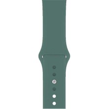  Apsuwa Apple Watch Se 44MM Uyumlu Kordon Mat Jel Silikon Saat Kordonu 44/bb--Çam Yeşili
