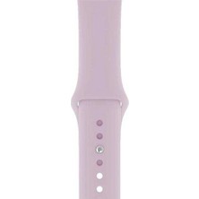  Apsuwa Apple Watch Se 44MM Uyumlu Kordon Mat Jel Silikon Saat Kordonu 44/bb--Lila