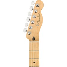 Fender Player Telecaster Akçaağaç Klavye Black Elektro Gitar