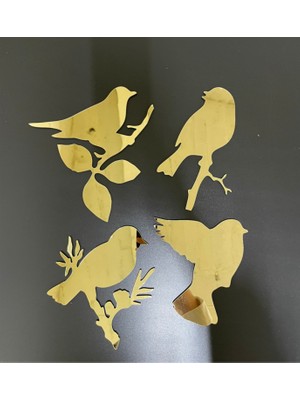 Numa Concept Modern 4'lü Kuş Pleksi Gold