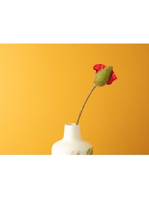 English Home Wild Flower Tek Dal Yapay Çiçek Kırmızı