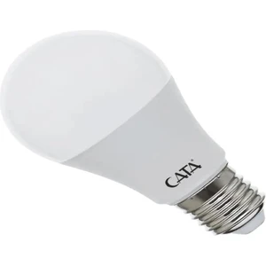 9W LED Ampül