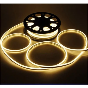 CT-4554 25M Günışığı Neon LED Hortum