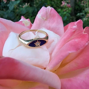 Fasek Gold Ala Safir Mineli Kutup Yıldızlı Oval Mühür Minimal Tasarım Estetik Modern 925 Ayar Gümüş Yüzük