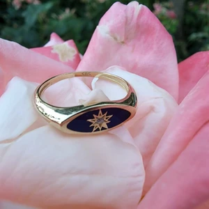 Fasek Gold Gümüş Yüzük -  Ala Safir Mineli Kutup Yıldızlı Oval Mühür Minimal Tasarım Estetik Modern 925 Ayar Gümüş Yüzük
