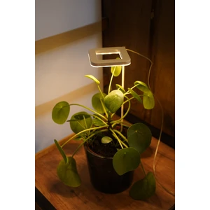 Orion Led Bitki Geliştirme LED Lamba 5V USB  Tam Spektrumlu Bitki Yetiştirme LED Lamba  Kare Günışığı -Bitki Işık 8W