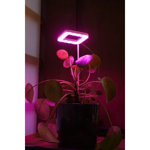Orion Led Bitki Geliştirme LED Lamba 5V USB  Tam Spektrumlu Bitki Yetiştirme LED Lamba  Kare Günışığı -Bitki Işık 8W