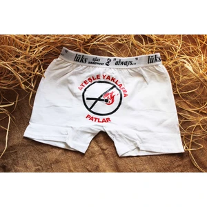 Ateşle Yaklaşma Komik Boxer