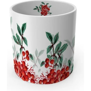 Red Berry Collection Kupa