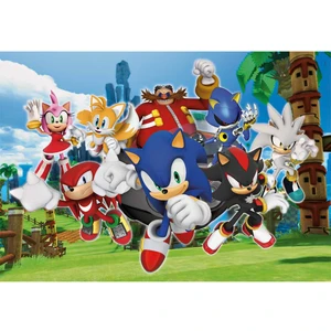 104 Parça Supercolor Puzzle: Sonic The Hedgehog