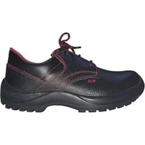 DİP S2 İş Güvenlik Botu