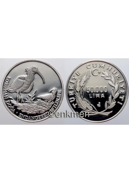 50 000 Lira Kelaynak Kuşu Darphane Hatıra Parası