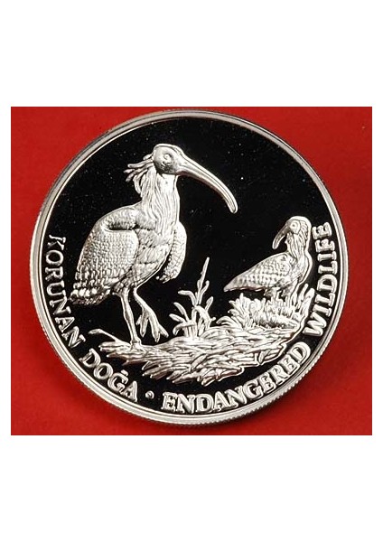 50 000 Lira Kelaynak Kuşu Darphane Hatıra Parası modelleri